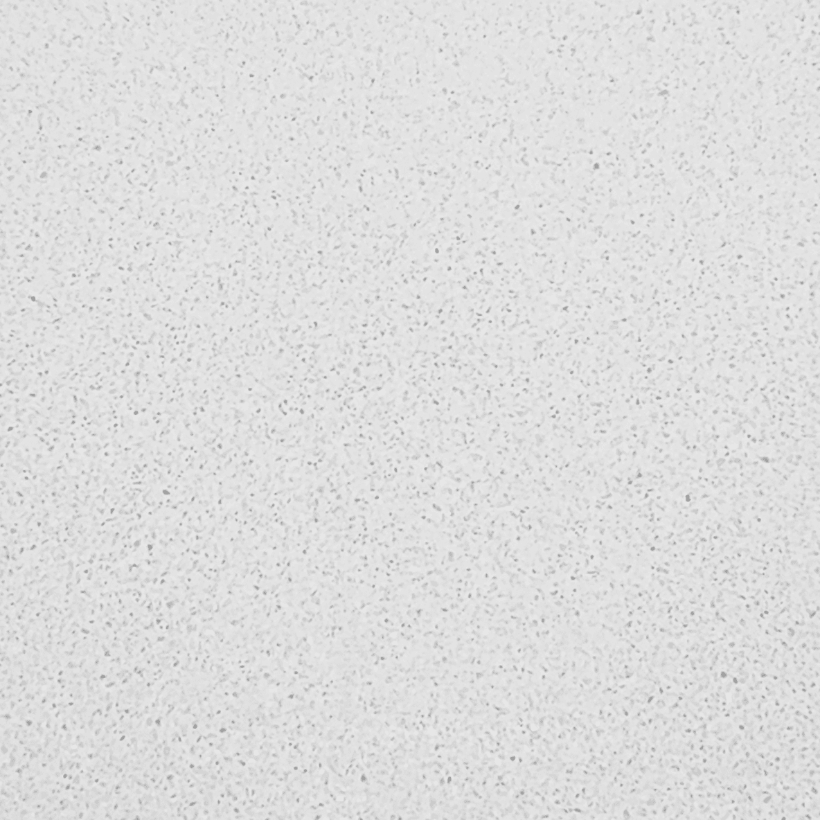 Custom White